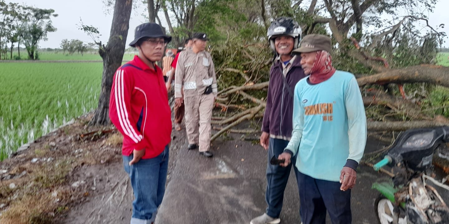 WhatsApp Image 2023-02-03 at 09.01.55