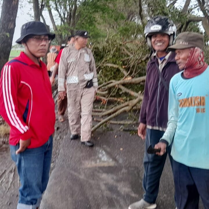 WhatsApp Image 2023-02-03 at 09.01.55