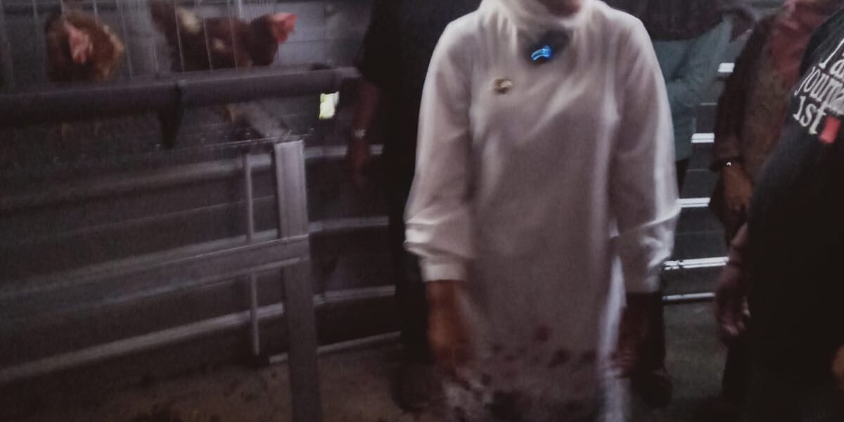 WhatsApp Image 2023-02-18 at 08.13.41 (1)