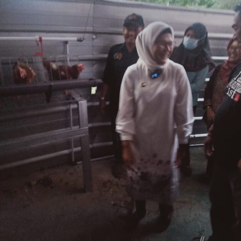 WhatsApp Image 2023-02-18 at 08.13.41 (1)