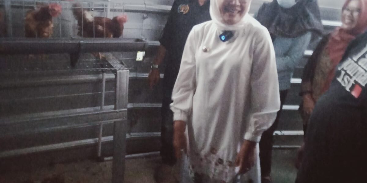 WhatsApp Image 2023-02-20 at 15.53.22