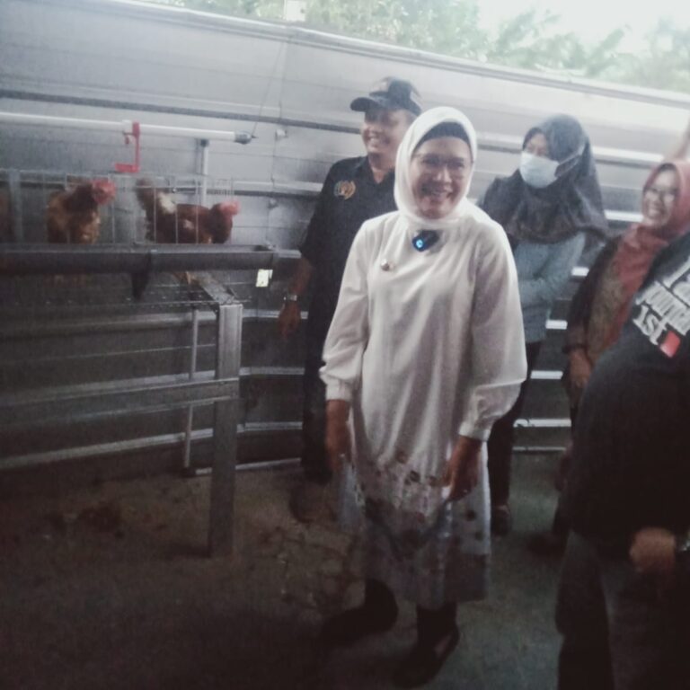 WhatsApp Image 2023-02-20 at 15.53.22