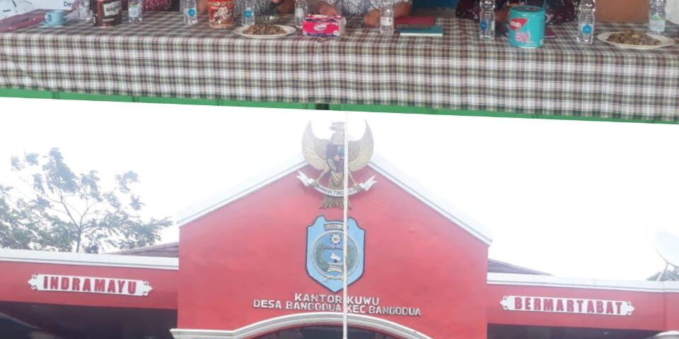 WhatsApp Image 2023-03-02 at 16.29.39