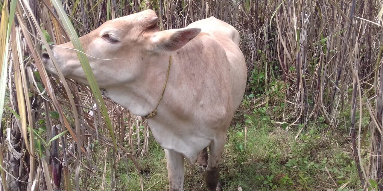 WhatsApp Image 2023-03-20 at 14.44.49