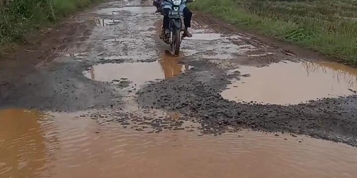 WhatsApp Image 2023-03-29 at 13.19.34 (1)