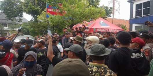 WhatsApp Image 2023-03-30 at 14.31.21