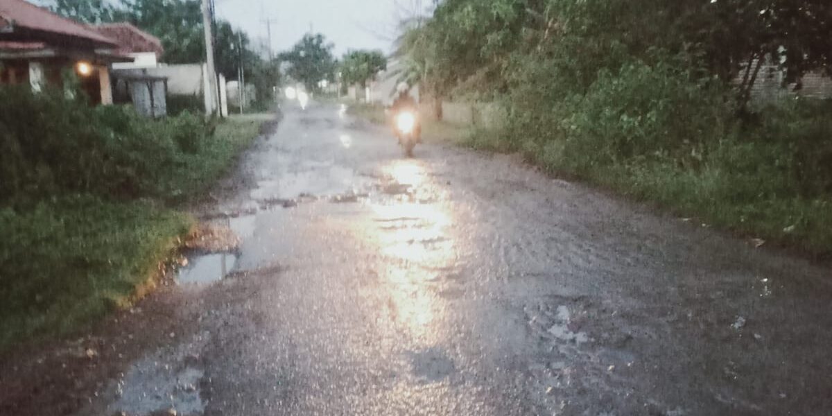 WhatsApp Image 2023-04-01 at 21.06.52 (1)