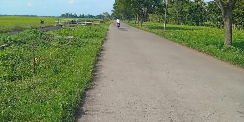 WhatsApp Image 2023-04-04 at 02.09.56