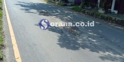 WhatsApp Image 2023-04-07 at 15.42.20