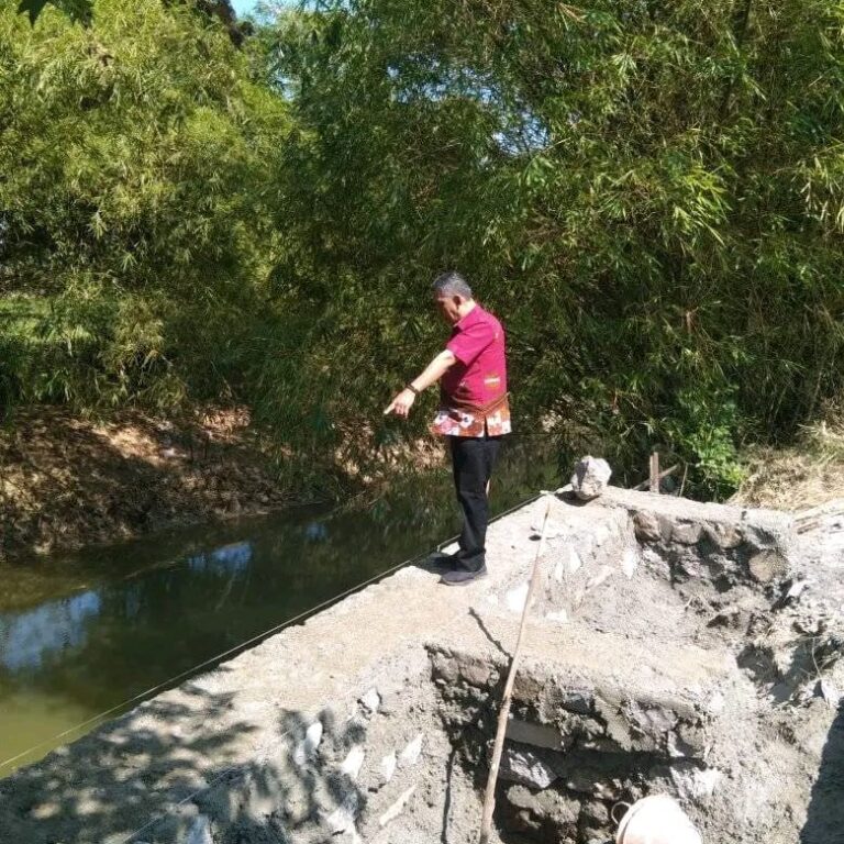 2454edd6-d1ce-43f8-9606-518d923c5826