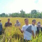 IMG-20230507-WA0018-300×169