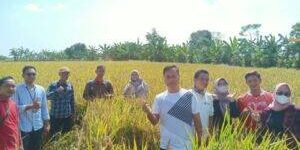 IMG-20230507-WA0018-300×169