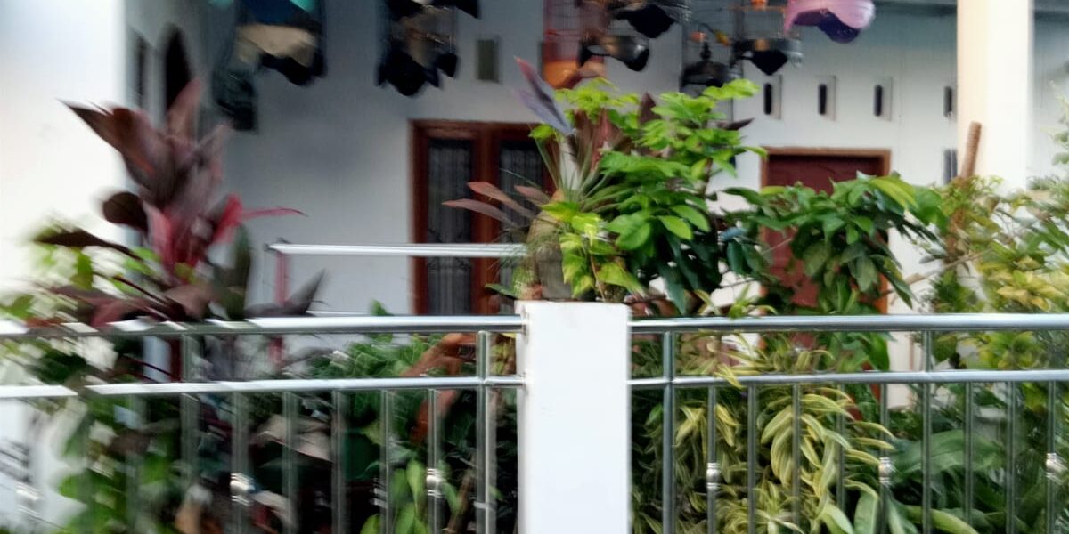 WhatsApp Image 2023-06-03 at 17.31.53