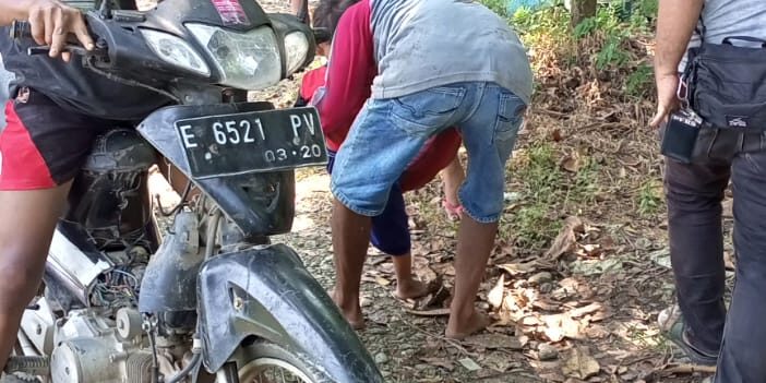 WhatsApp Image 2023-06-12 at 10.41.38