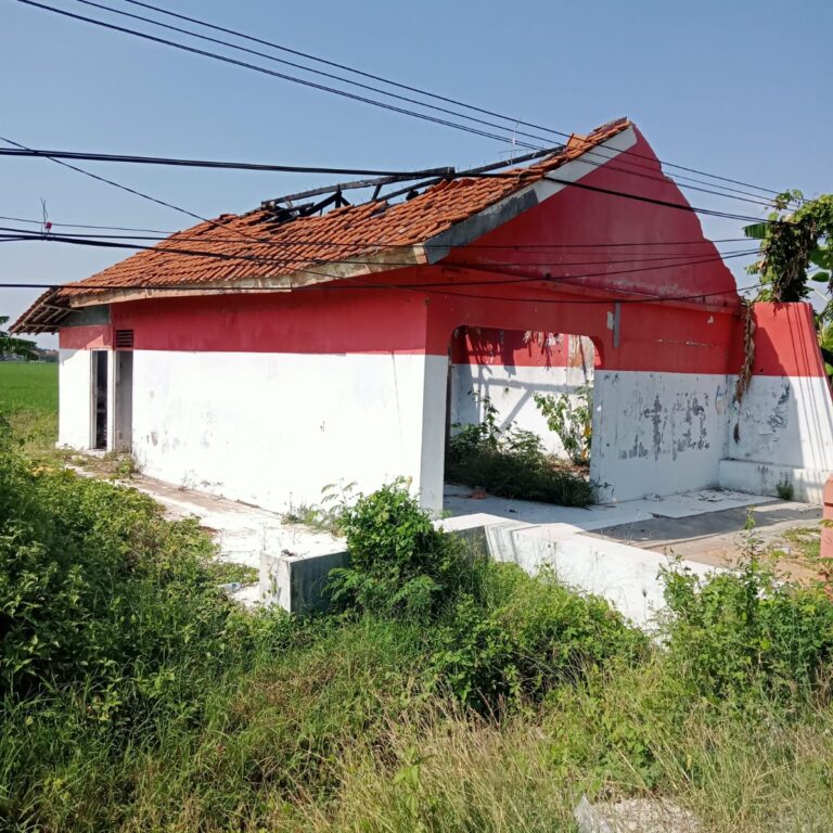 WhatsApp Image 2023-07-03 at 12.12.45