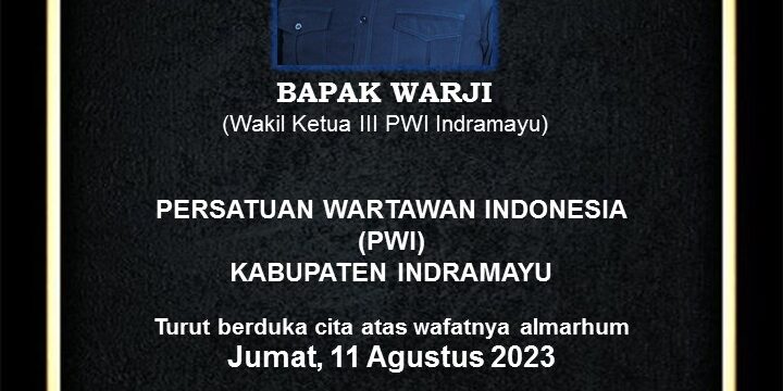 WhatsApp Image 2023-08-11 at 14.46.26