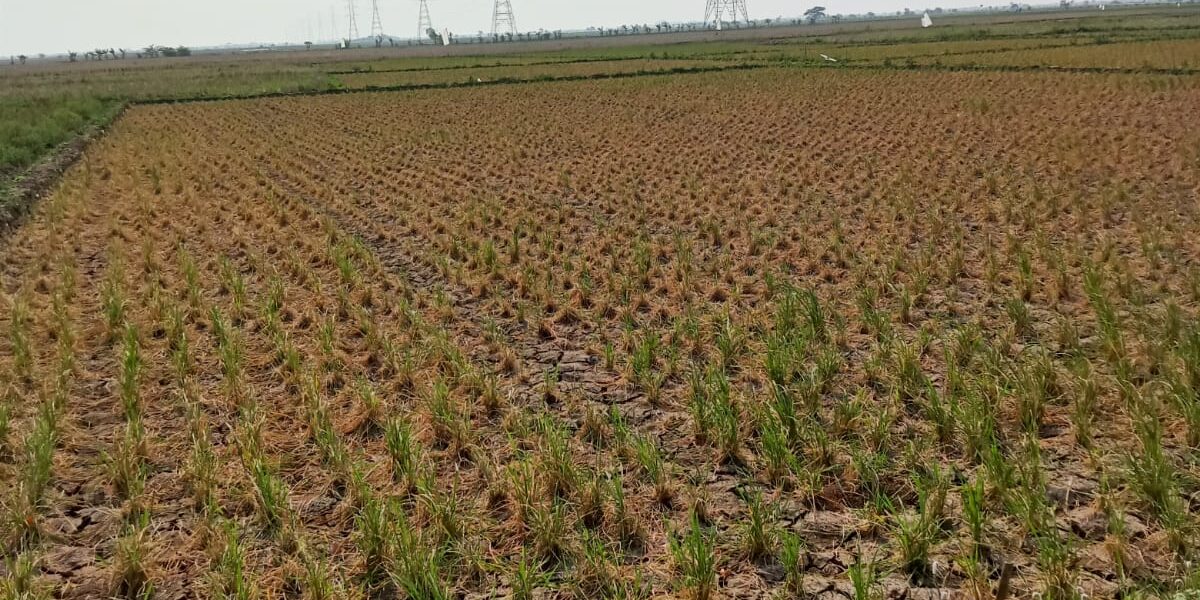 WhatsApp Image 2023-08-20 at 08.54.41 (1)