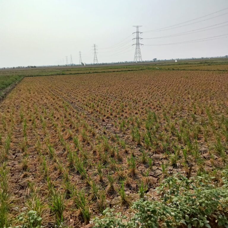 WhatsApp Image 2023-08-20 at 08.54.41 (1)