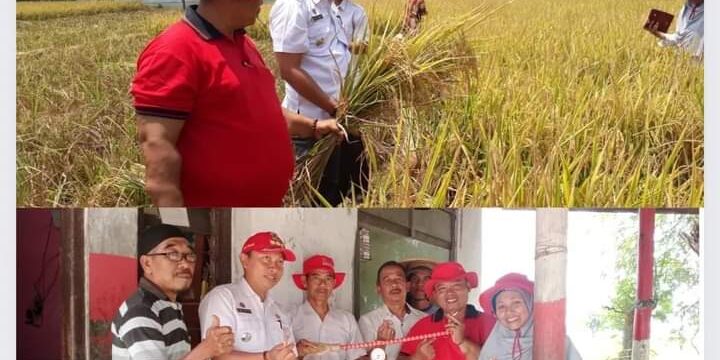 WhatsApp Image 2023-09-01 at 11.15.19 (1)