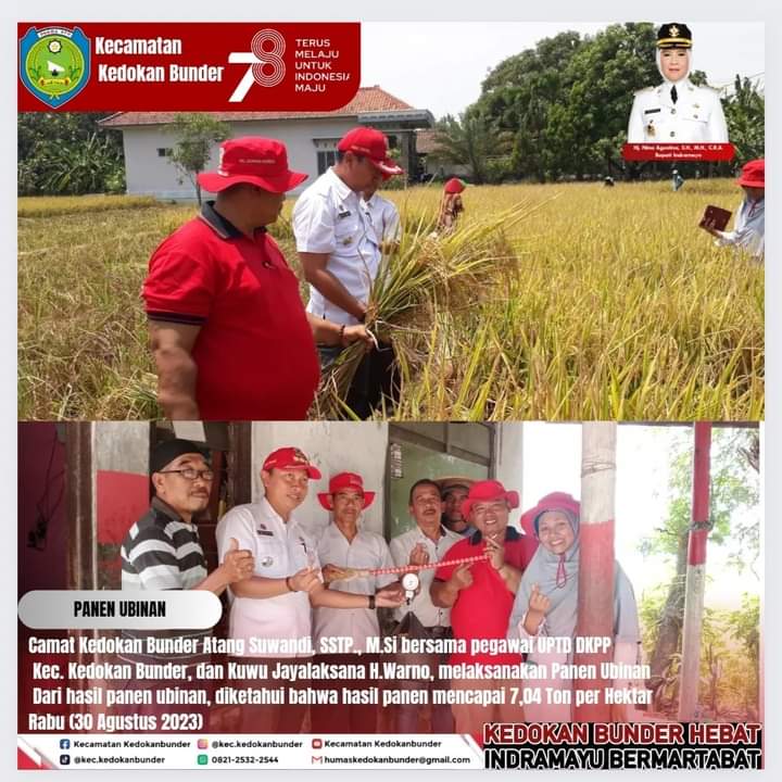 WhatsApp Image 2023-09-01 at 11.15.19 (1)