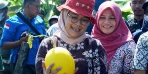 IMG-20231007-WA0013-300×225