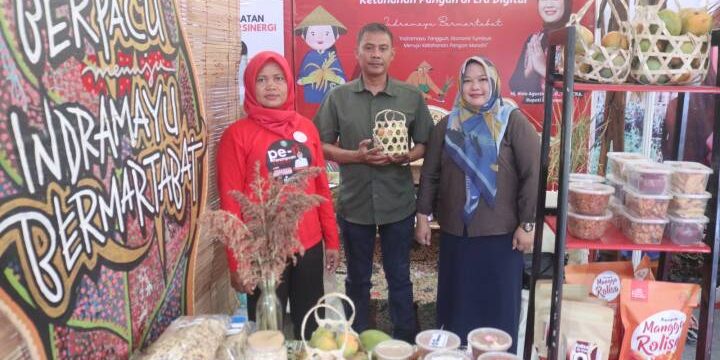 WhatsApp-Image-2023-10-10-at-14.56.29