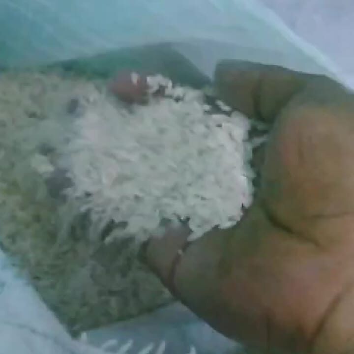 WhatsApp Image 2023-10-13 at 20.33.51