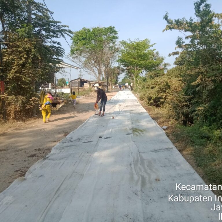 WhatsApp Image 2023-11-03 at 05.50.12