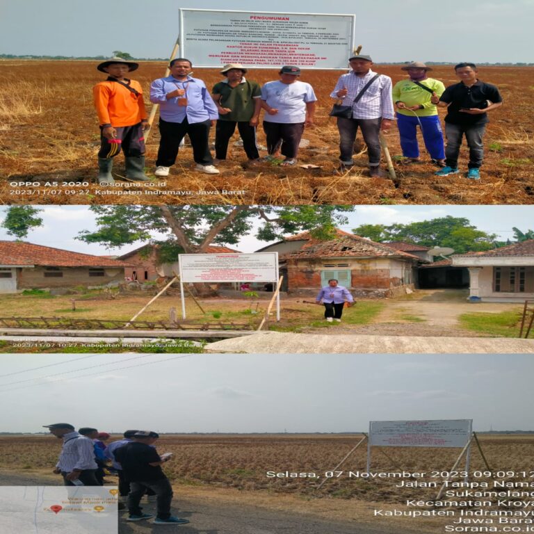 WhatsApp Image 2023-11-08 at 10.32.17