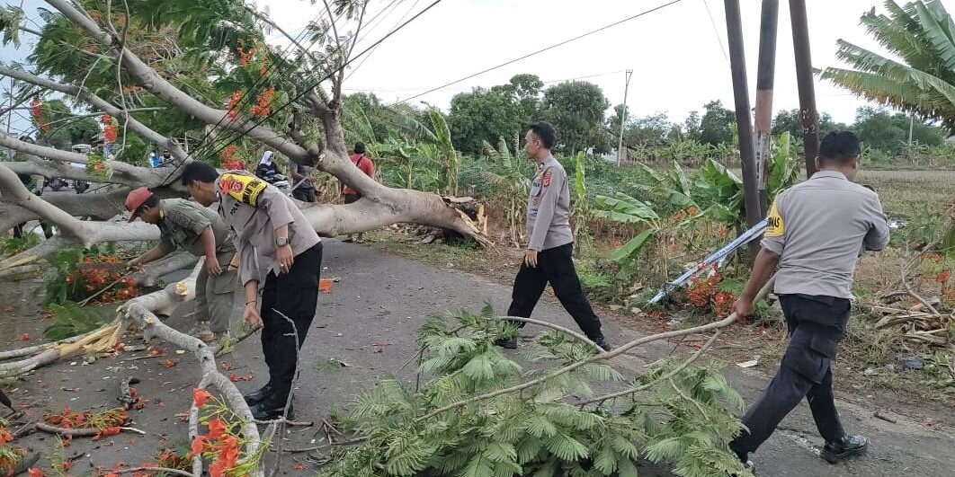 WhatsApp Image 2023-12-05 at 16.07.17