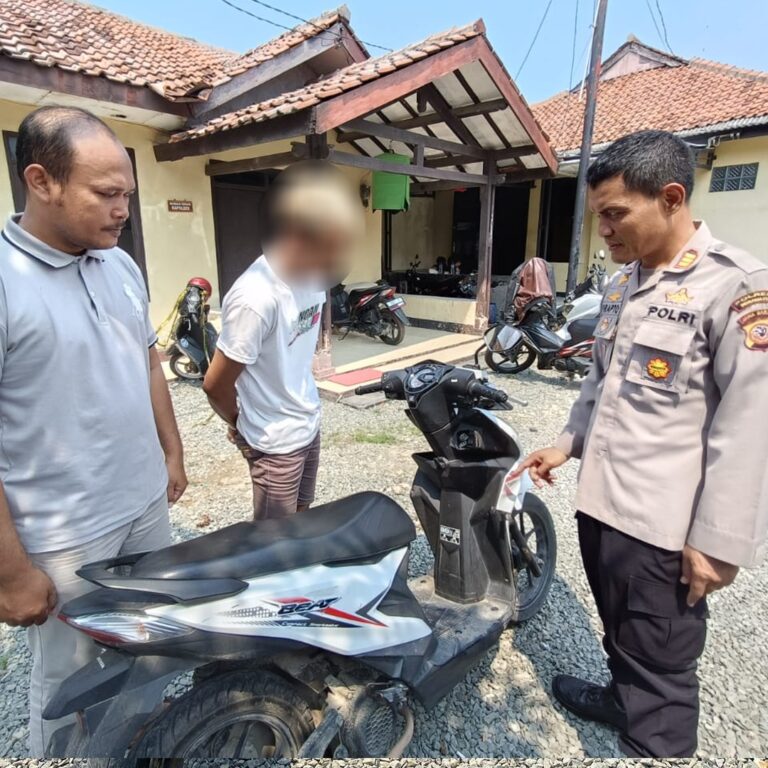 WhatsApp Image 2023-12-18 at 17.01.40