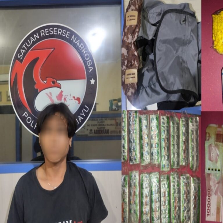 WhatsApp Image 2023-12-23 at 20.40.01