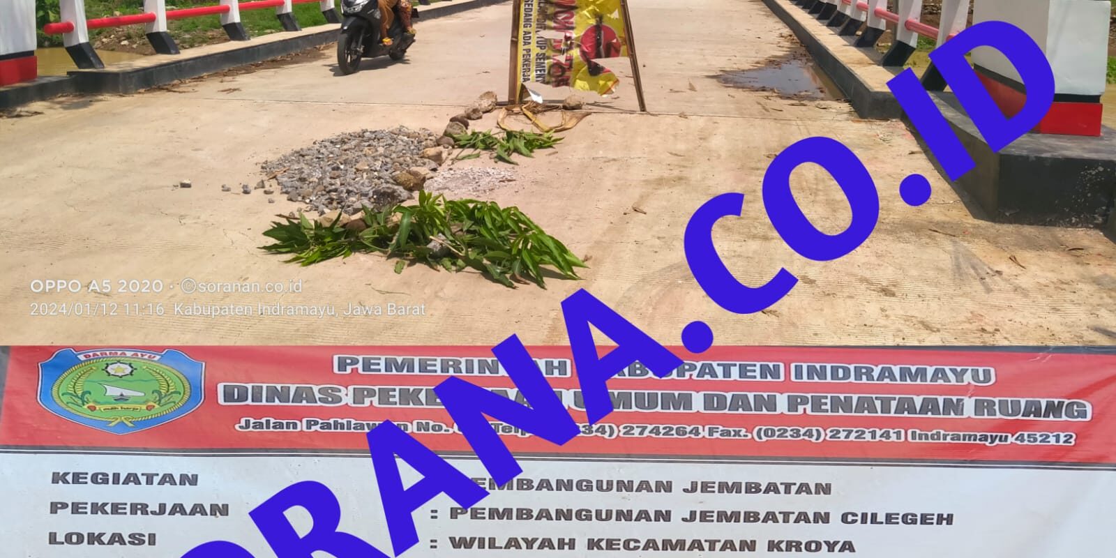 WhatsApp Image 2024-01-12 at 15.53.56