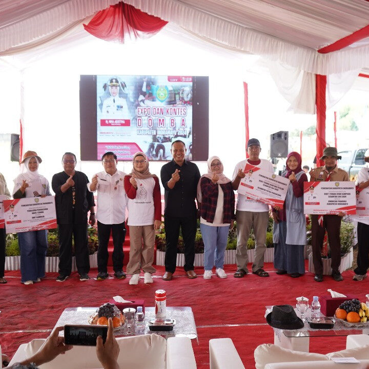 bibit wedus