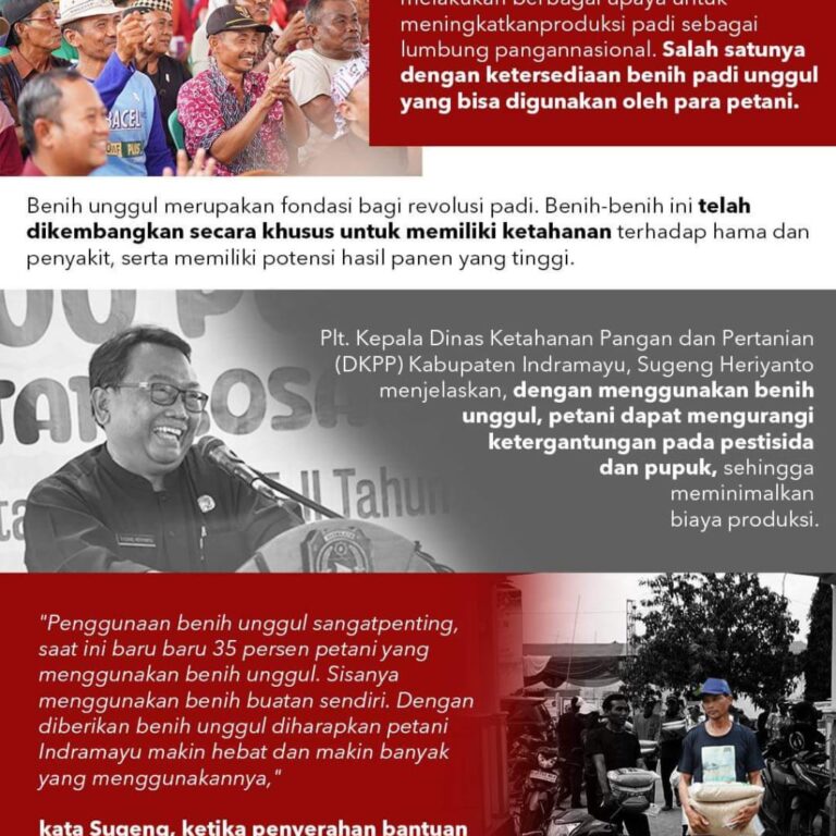 WhatsApp Image 2024-07-02 at 16.30.54 (1)