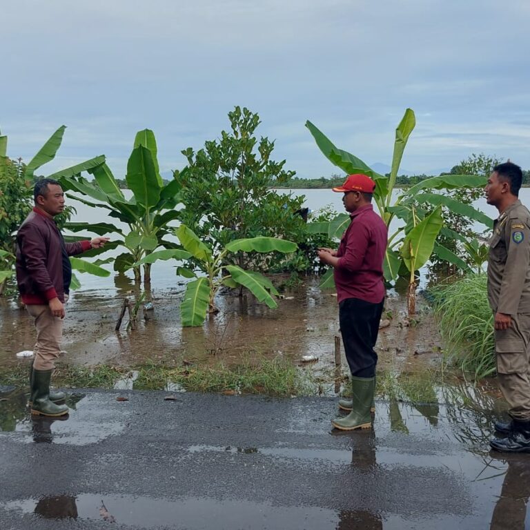 WhatsApp Image 2024-07-07 at 15.07.04 (1)