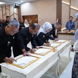 WhatsApp Image 2024-09-12 at 08.39.03 (1)