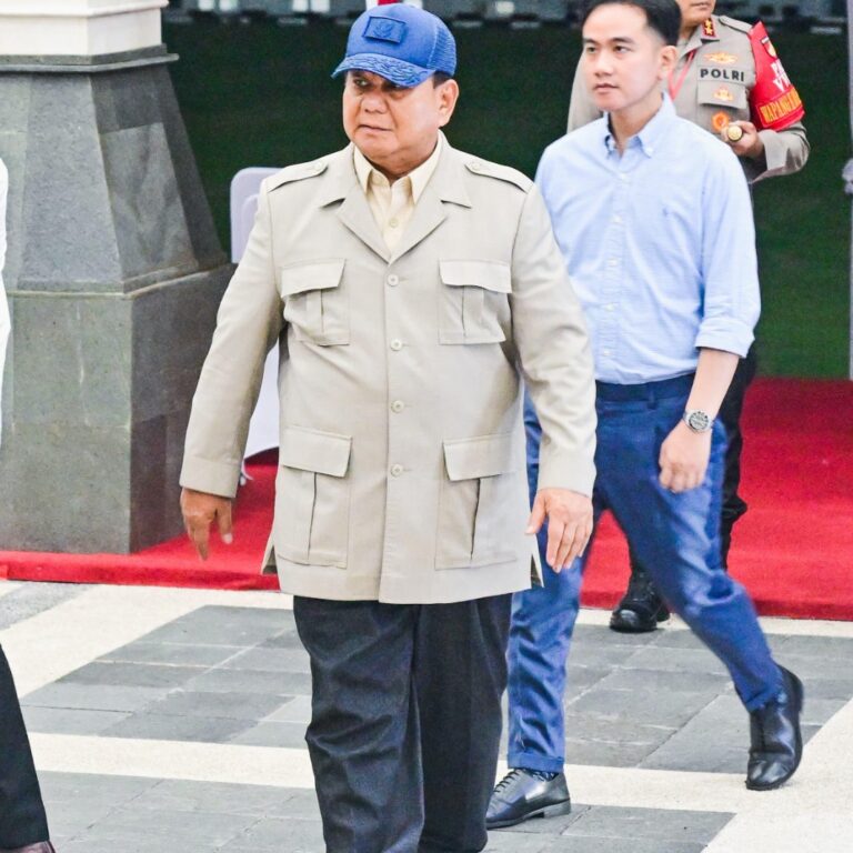 WhatsApp Image 2024-10-25 at 18.32.56