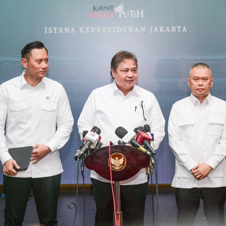 1241WhatsApp_Image_2024-11-26_at_22.30.03