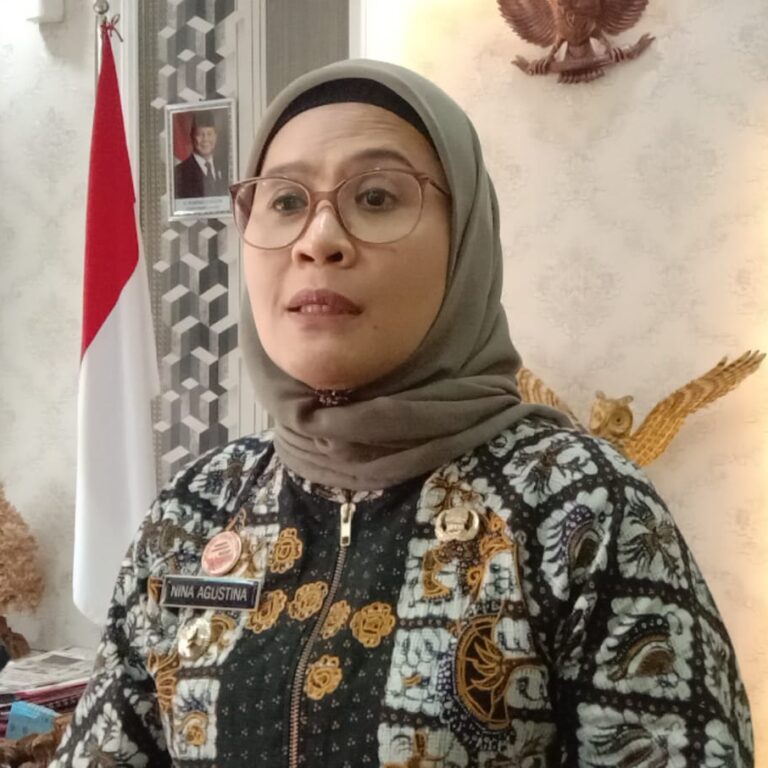 WhatsApp Image 2024-11-28 at 18.04.45