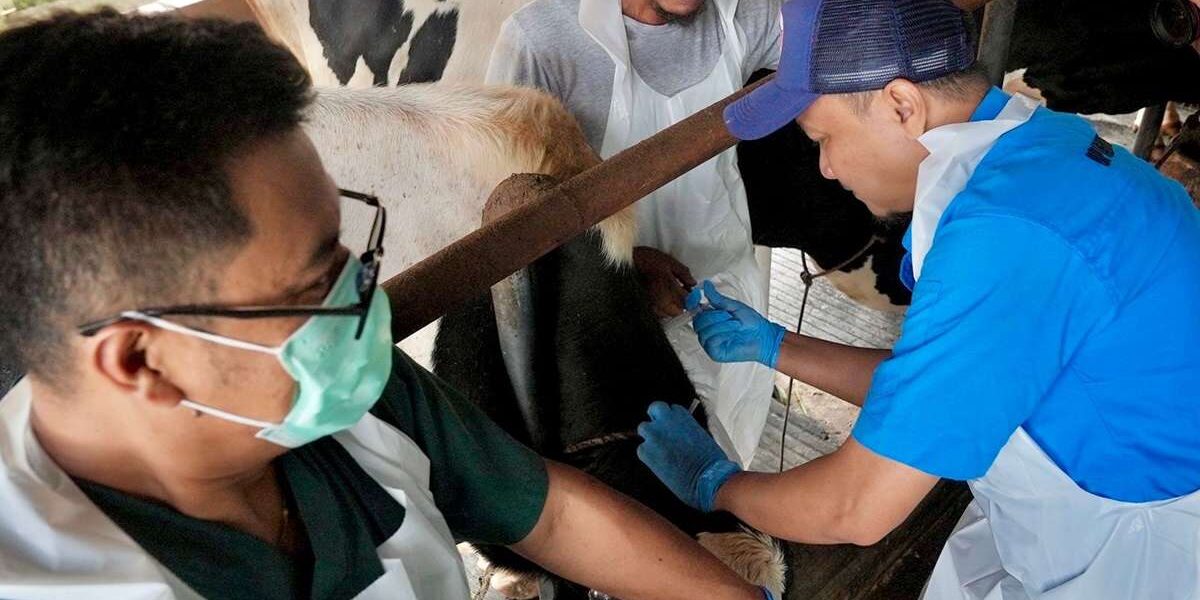 1736853865-WhatsApp-Image-2025-01-14-at-17.54.43