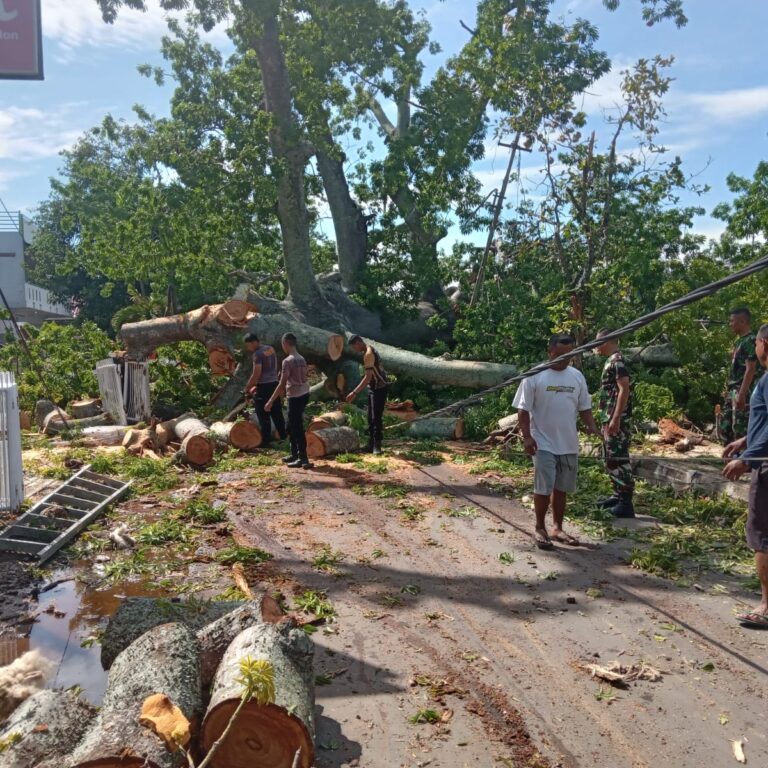 WhatsApp Image 2025-01-05 at 11.03.32