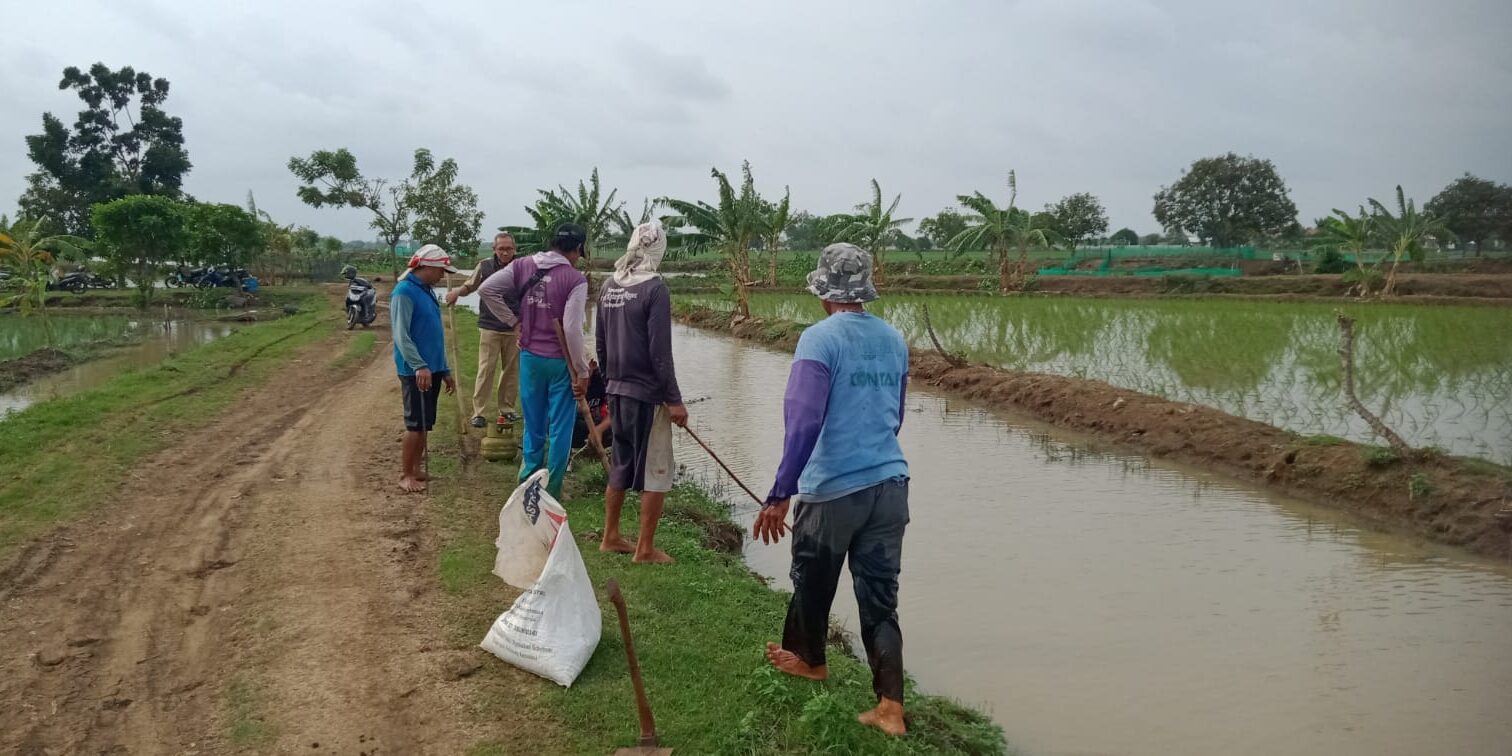 WhatsApp Image 2025-02-03 at 15.53.02