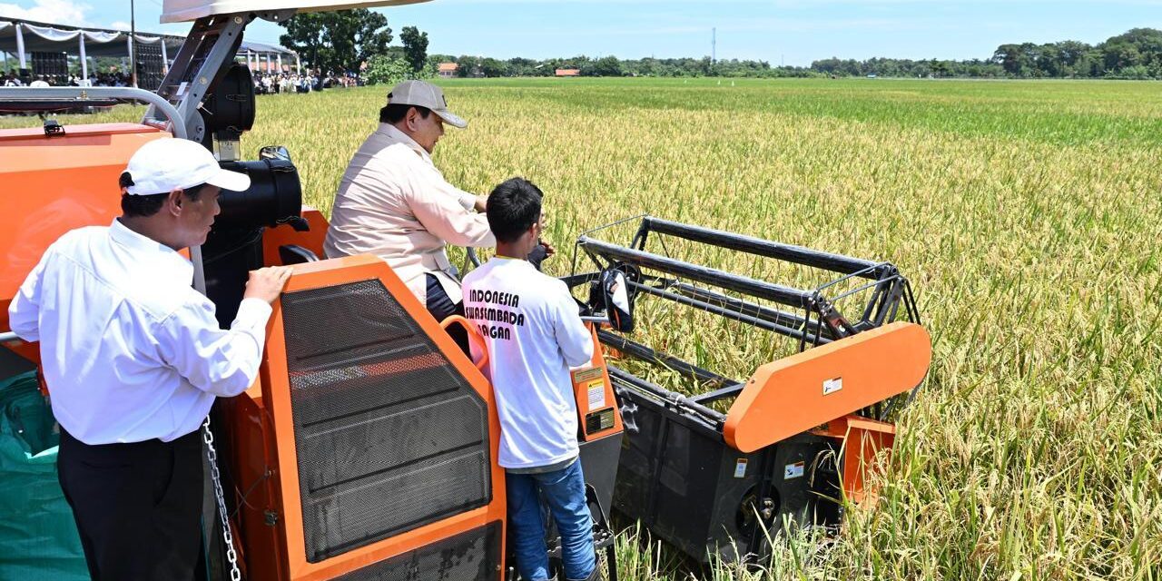 0342WhatsApp_Image_2025-04-07_at_3.48.18_PM