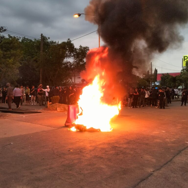 WhatsApp Image 2025-08-30 at 06.46.25