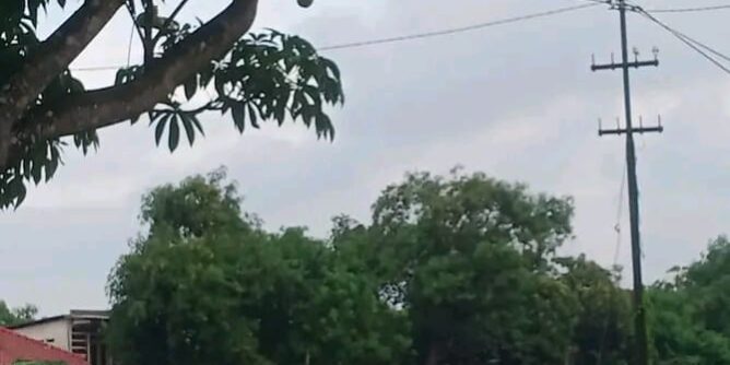 WhatsApp Image 2025-09-21 at 07.02.28