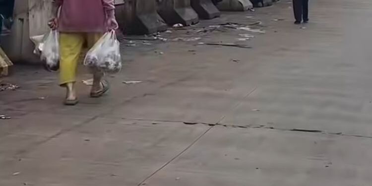 WhatsApp Image 2025-10-23 at 15.40.56