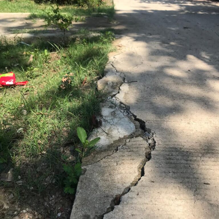 WhatsApp Image 2025-11-03 at 12.56.00