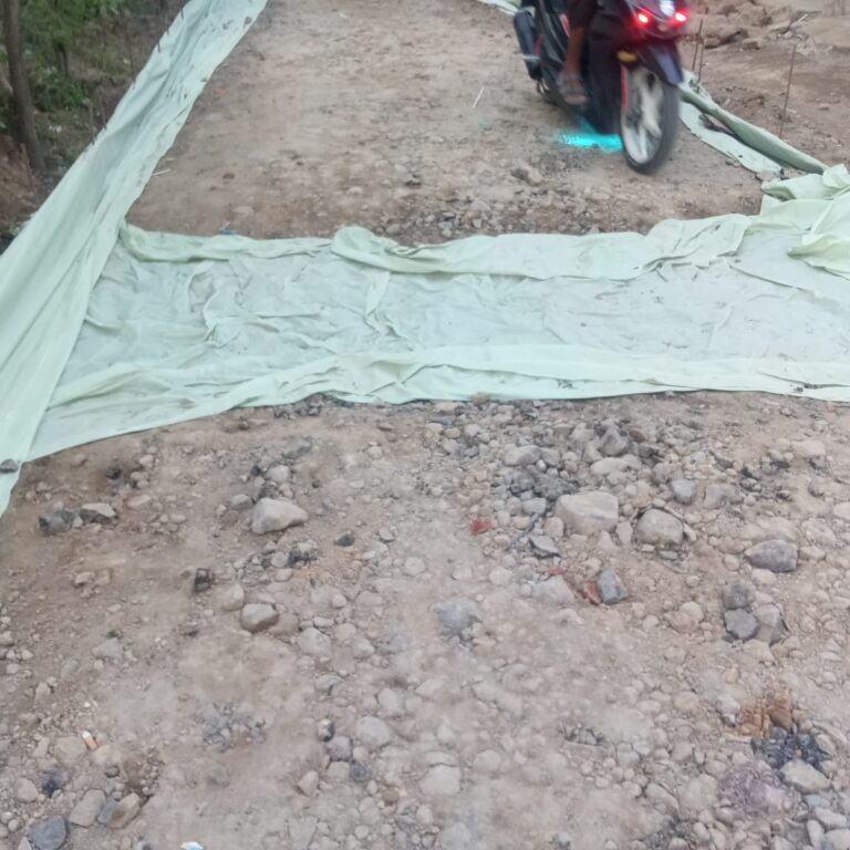 WhatsApp Image 2025-11-25 at 13.59.01