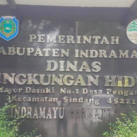 WhatsApp Image 2025-12-09 at 16.08.44 (1)